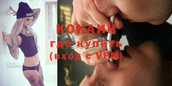 шишки Белокуриха