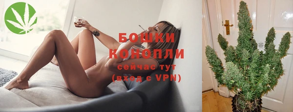 шишки Белокуриха