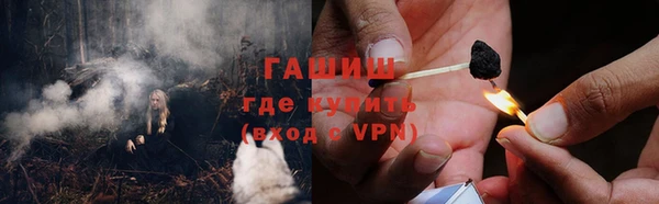 шишки Белокуриха