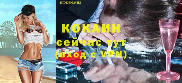 шишки Белокуриха