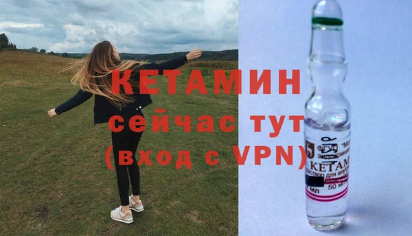 шишки Белокуриха