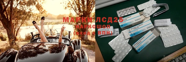 шишки Белокуриха