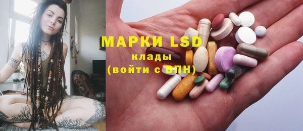 шишки Белокуриха