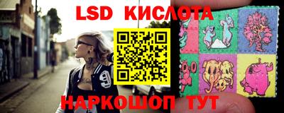 стафф Можга