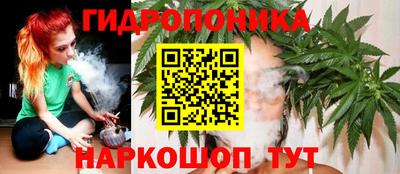 индика Моздок