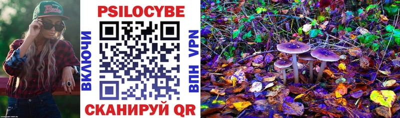 Галлюциногенные грибы мухоморы blacksprut tor Реж купить наркоту