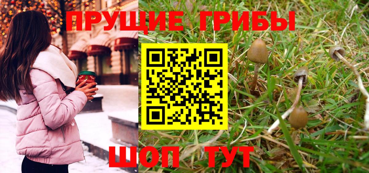 Реж  Псилоцибиновые грибы Psilocybine cubensis  Вход с VPN 